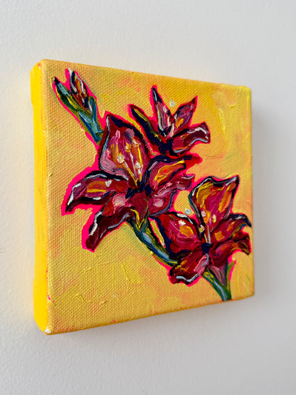 Mini Gladiolus, 5x5 Inch Original