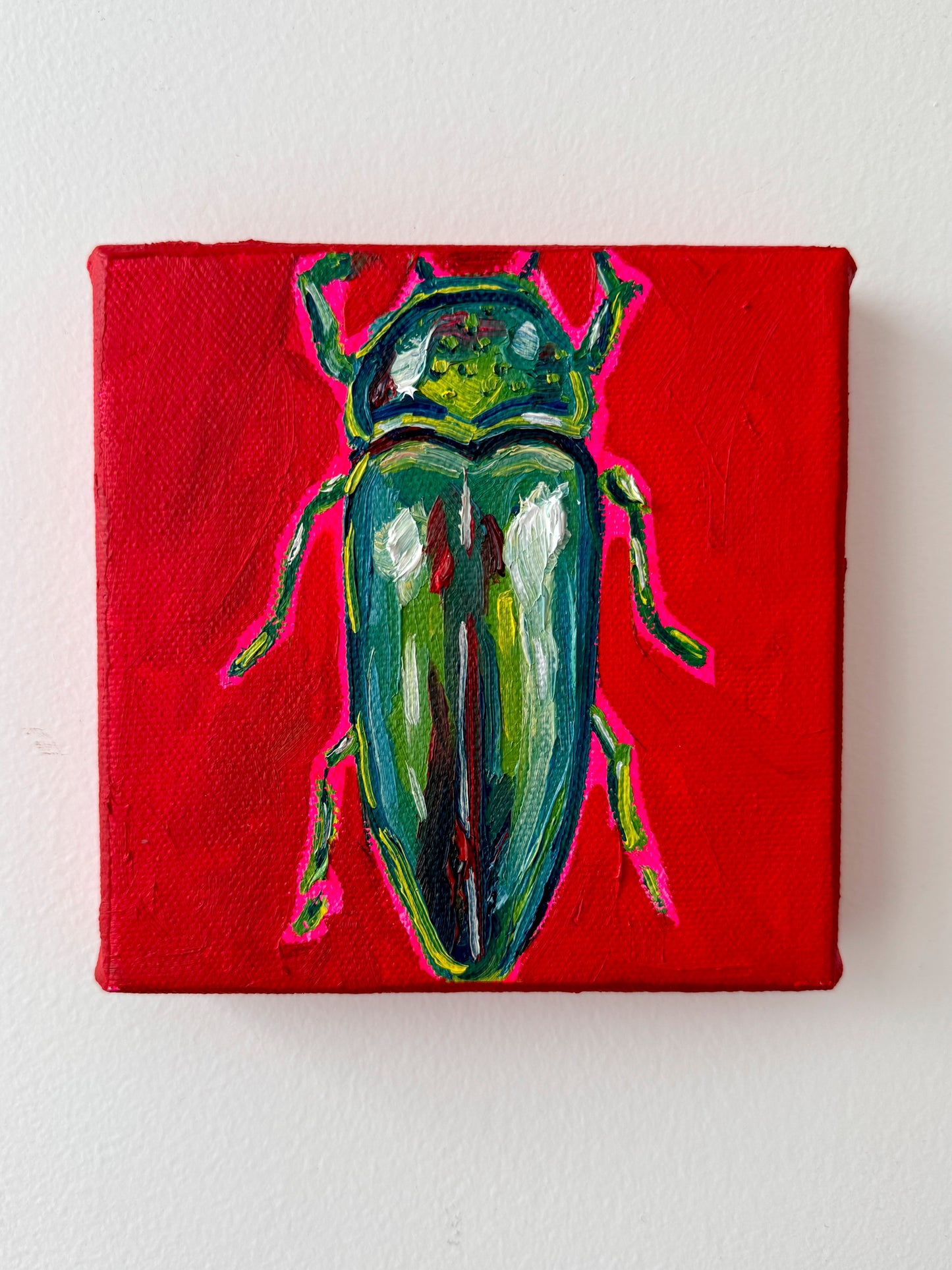 Mini Jewel Beetle, 5x5 Inch Original