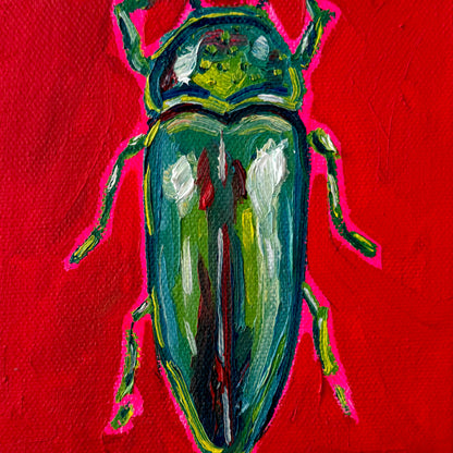 Mini Jewel Beetle, 5x5 Inch Original