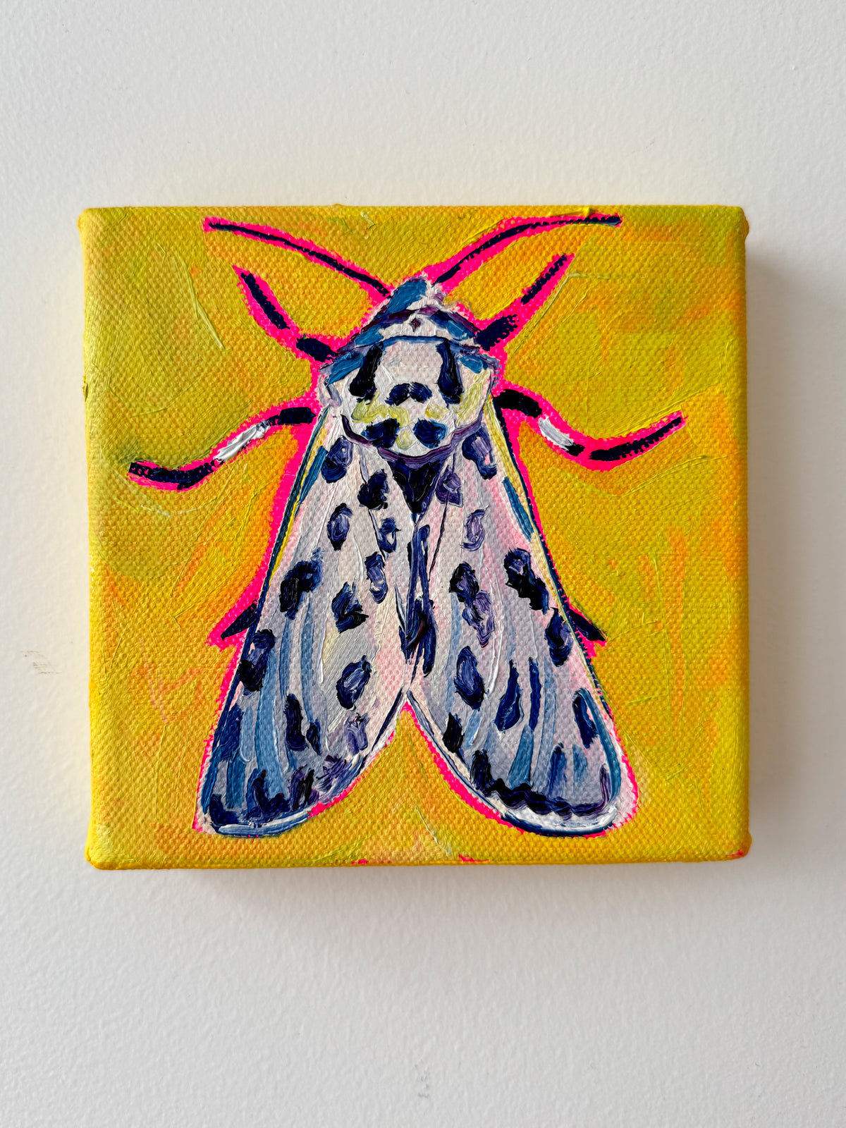 Mini Leopard Moth, 5x5 Inch Original