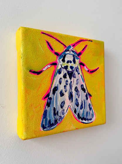 Mini Leopard Moth, 5x5 Inch Original