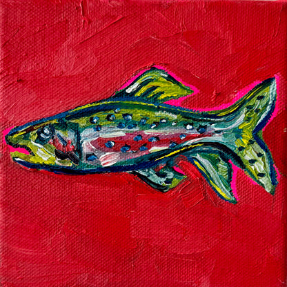 Mini Rainbow Trout, 5x5 Inch Original