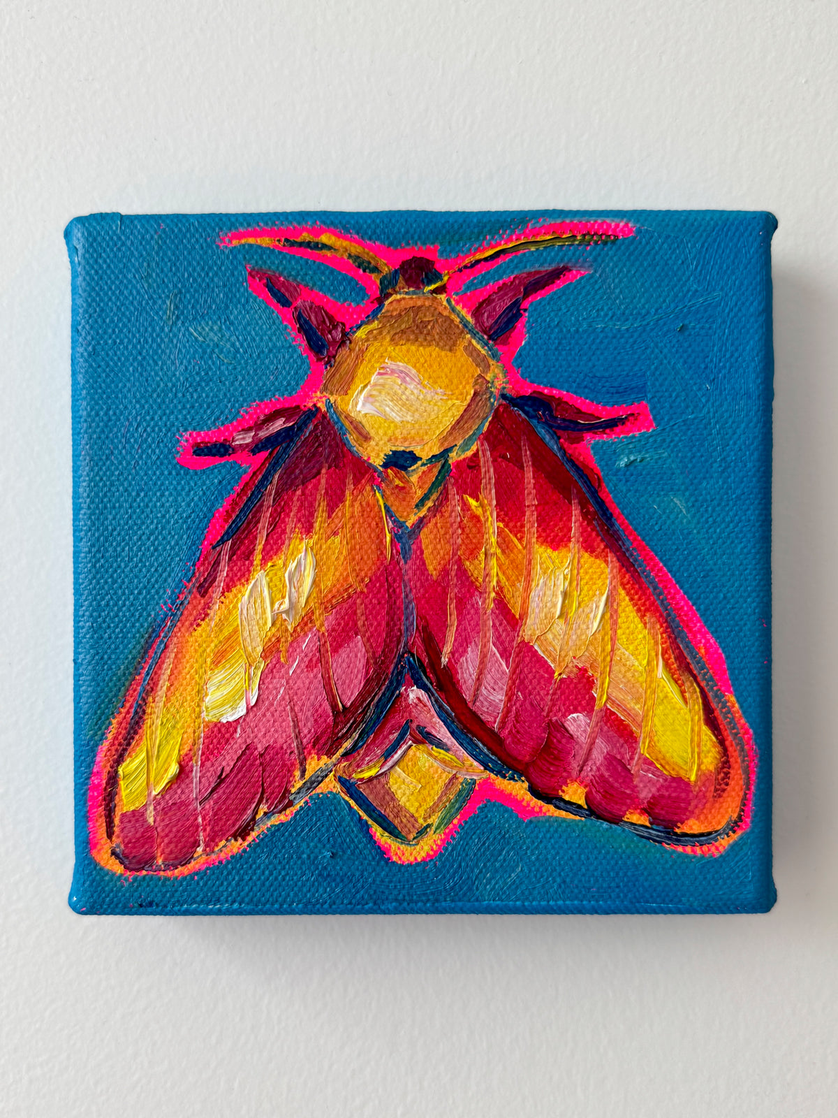 Mini Rosy Maple Moth II, 5x5 Inch Original