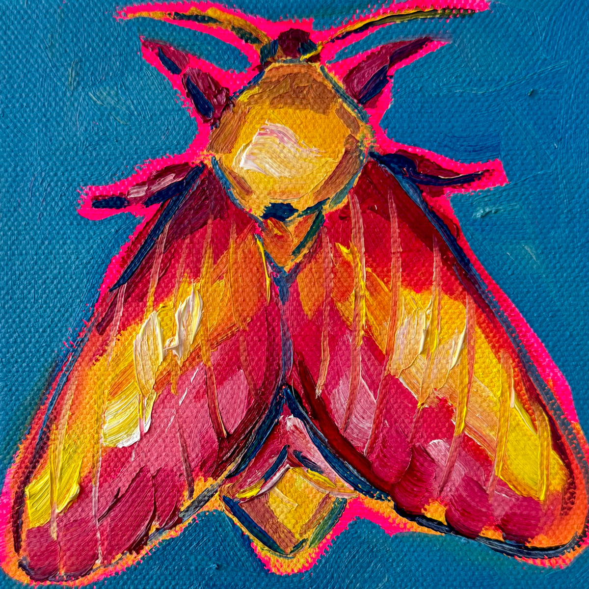 Mini Rosy Maple Moth II, 5x5 Inch Original