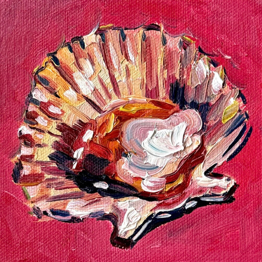 Mini Scallop PRINT (LIMITED TIME)
