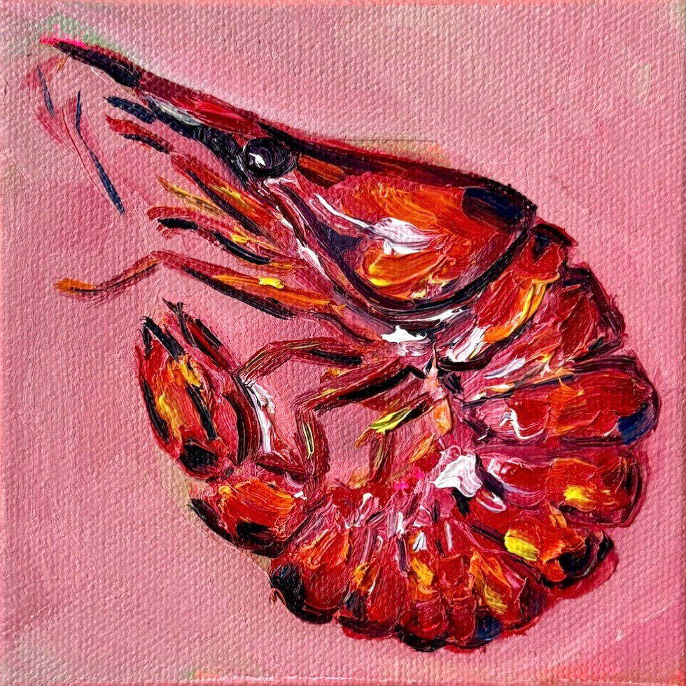 Mini Shrimp on Pink  PRINT (LIMITED TIME)