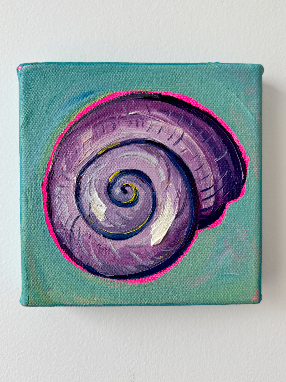 Mini Spiral Shell, 5x5 Inch Original