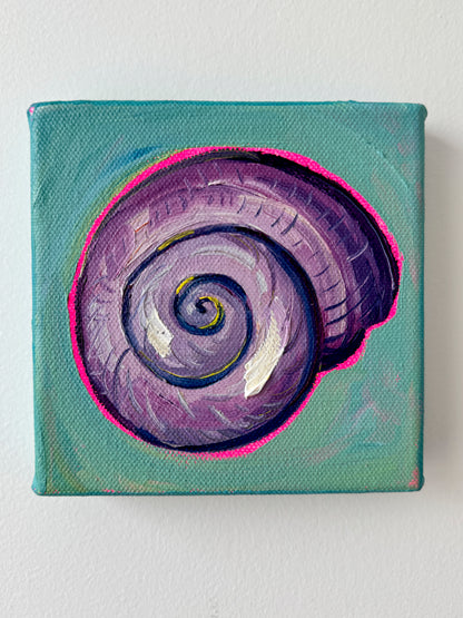 Mini Spiral Shell, 5x5 Inch Original