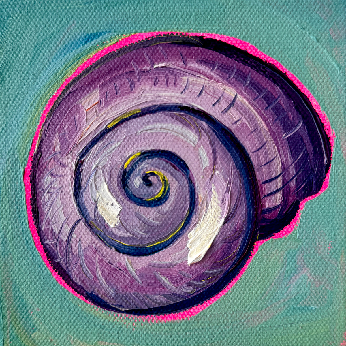 Mini Spiral Shell PRINT (LIMITED TIME)