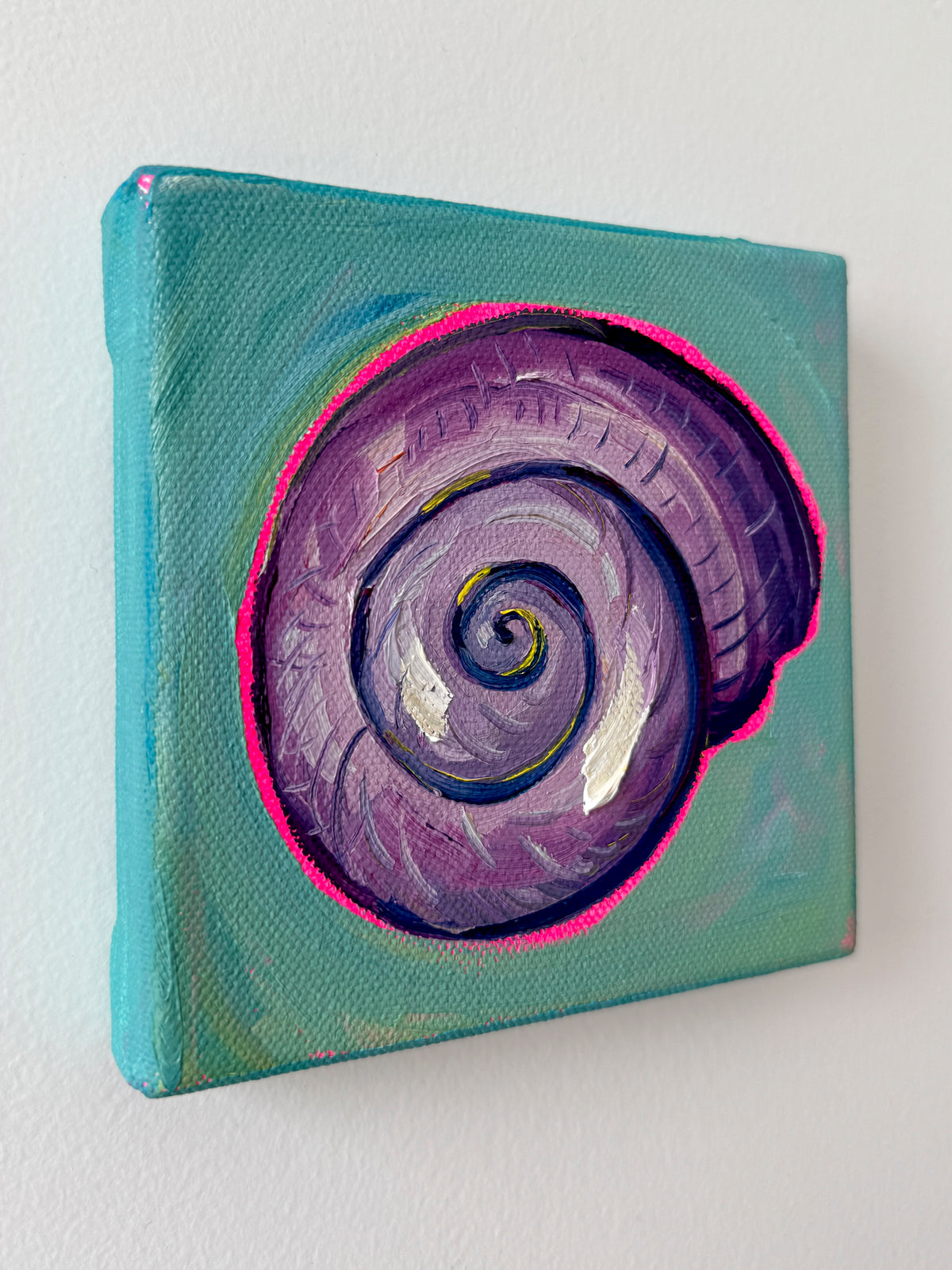 Mini Spiral Shell, 5x5 Inch Original