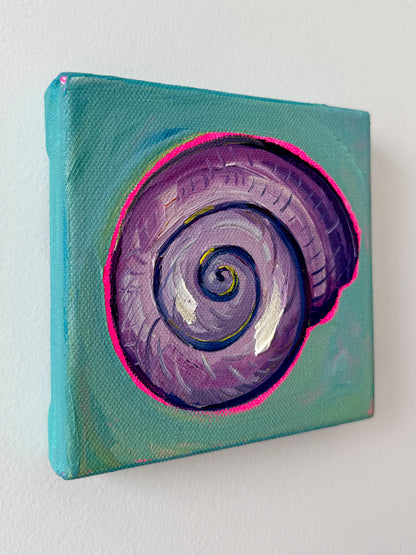 Mini Spiral Shell, 5x5 Inch Original