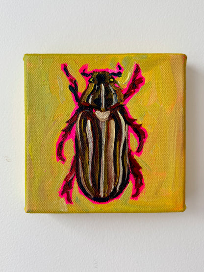 Mini Ten Lined June Beetle, 5x5 Inch Original