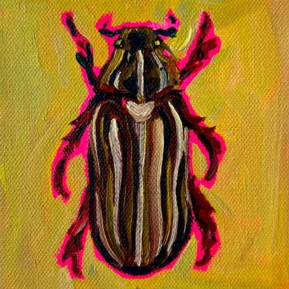 Mini Ten Lined June Beetle, 5x5 Inch Original