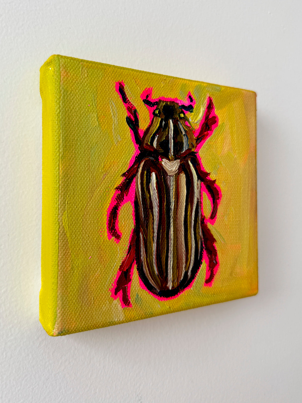 Mini Ten Lined June Beetle, 5x5 Inch Original