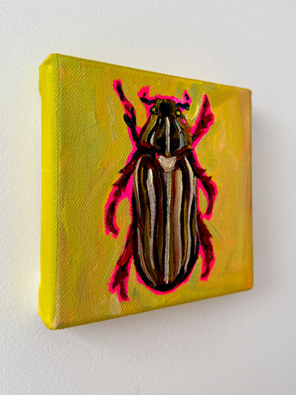 Mini Ten Lined June Beetle, 5x5 Inch Original