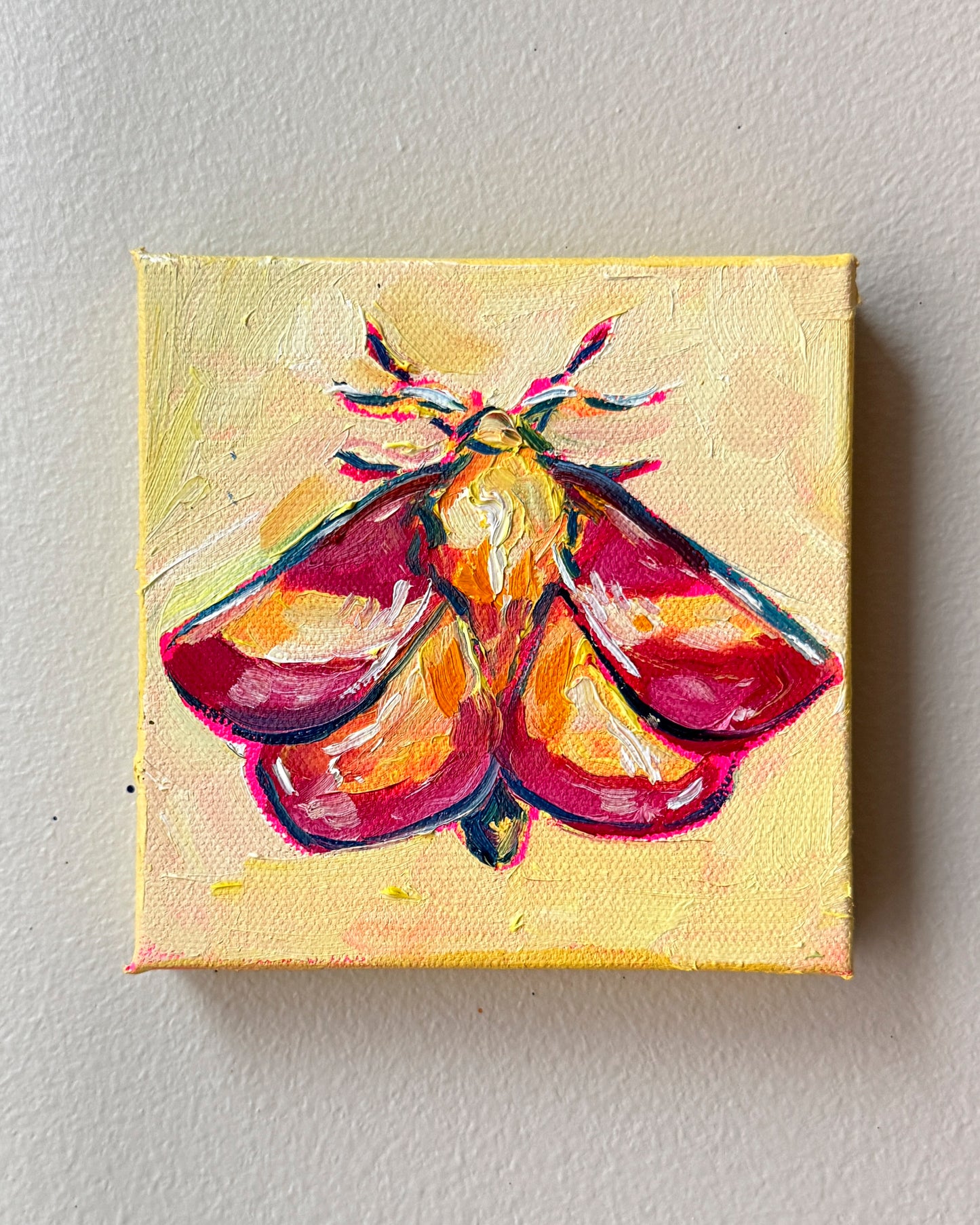 Mini Rosy Maple Moth, 5x5 Inch Original
